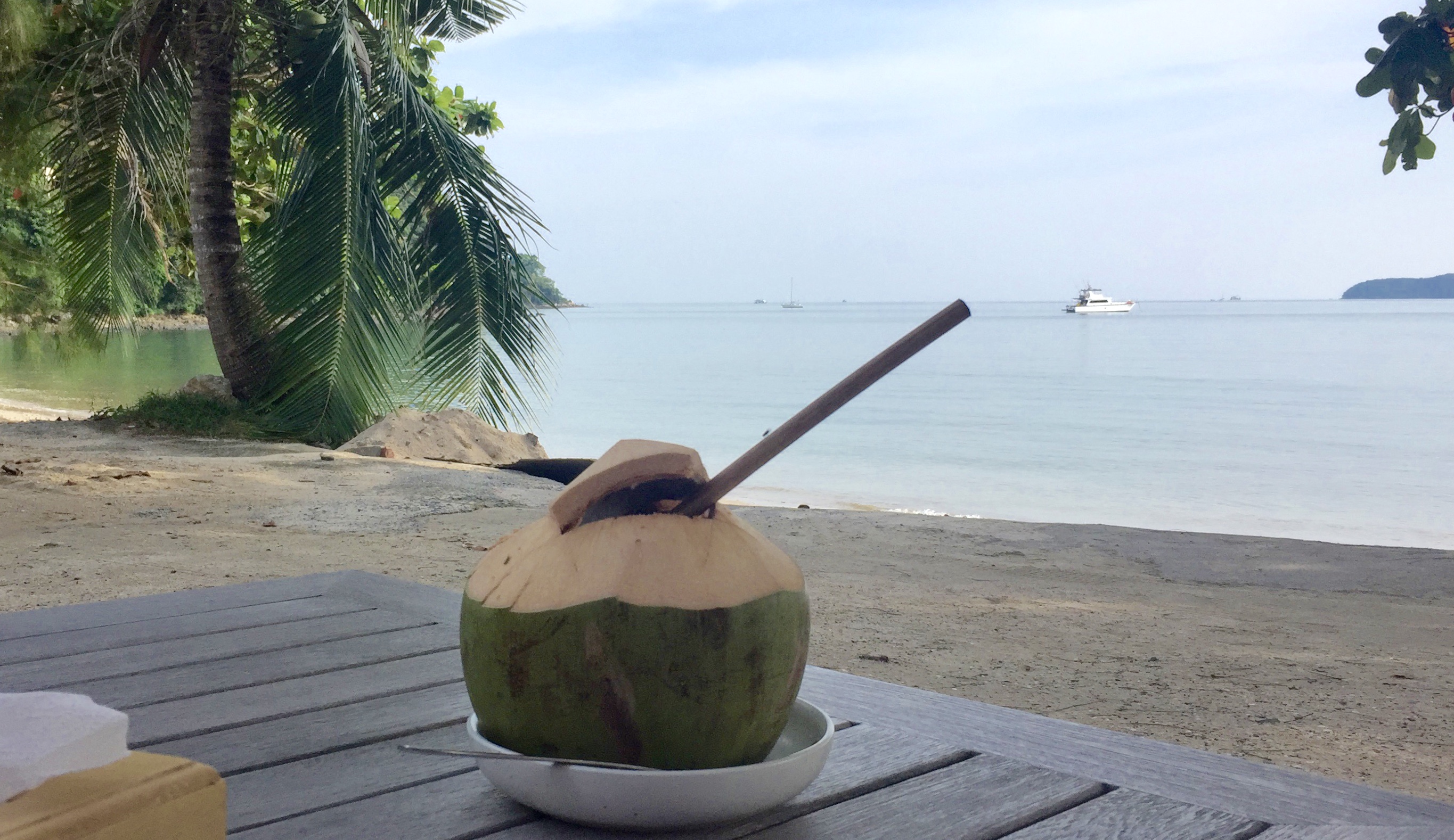 noix de coco au bord de la mer Phuket Thaïlande jus fruit exotique soleil